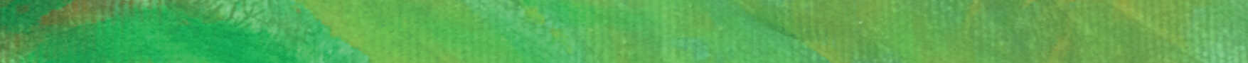 2 BALKEN GREEN YELLOW