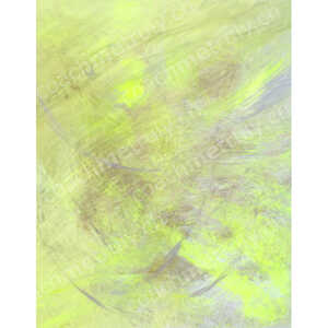 PENSEES DISSIMULEES